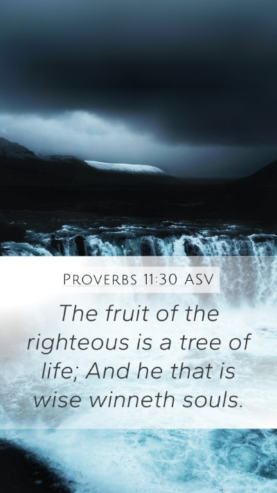 Proverbs 11:30 ASV Bible Verse Image