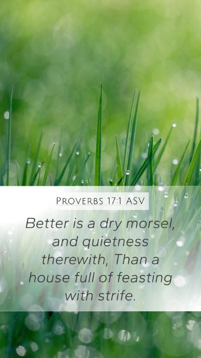 Proverbs 17:1 ASV Mobile Phone Wallpaper - Better is a dry morsel, and quietness therewith, - Mobile Bible Verse Wallpaper