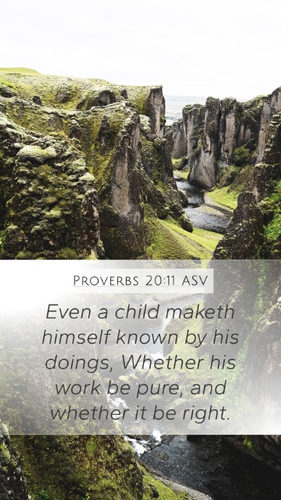 Proverbs 20:11 ASV Mobile Phone Wallpaper - Even a child maketh himself known by his doings, - Mobile Bible Verse Wallpaper