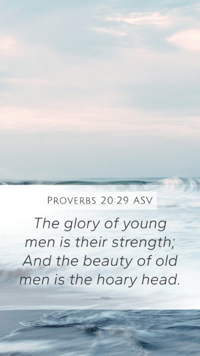 Proverbs 20:29 ASV Bible Verse Image