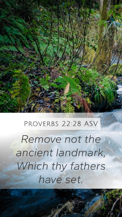 Proverbs 22:28 ASV Bible Verse Image