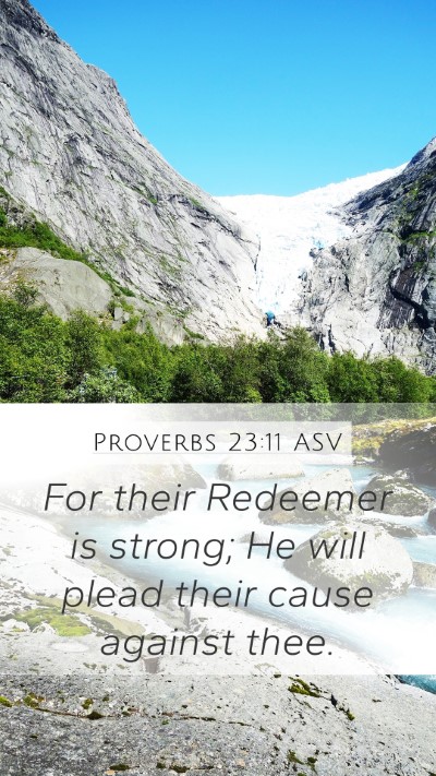 Proverbs 23:11 ASV Bible Verse Image