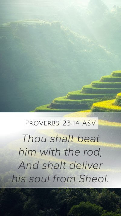 Proverbs 23:14 ASV Mobile Phone Wallpaper - Thou shalt beat him with the rod, And shalt - Mobile Bible Verse Wallpaper