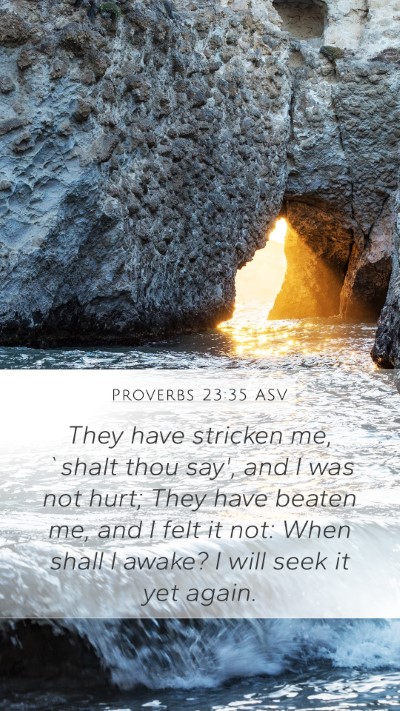 Proverbs 23:35 ASV Bible Verse Image