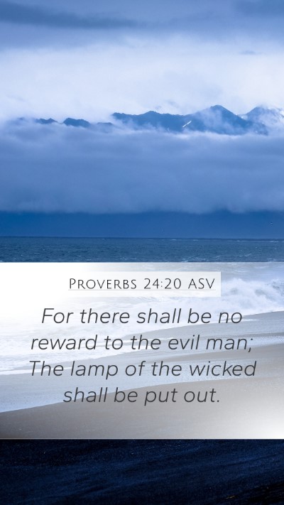 Proverbs 24:20 ASV Bible Verse Image