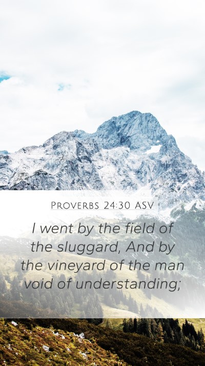 Proverbs 24:30 ASV Bible Verse Image