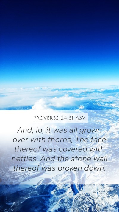 Proverbs 24:31 ASV Mobile Phone Wallpaper - And, lo, it was all grown over with thorns, The - Mobile Bible Verse Wallpaper