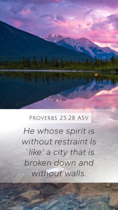 Proverbs 25:28 ASV Bible Verse Image