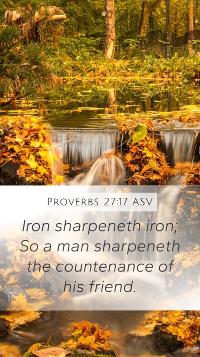 Proverbs 27:17 ASV Bible Verse Image