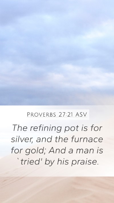 Proverbs 27:21 ASV Bible Verse Image