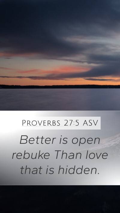 Proverbs 27:5 ASV Bible Verse Image