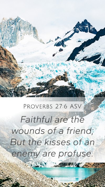 Proverbs 27:6 ASV Bible Verse Image