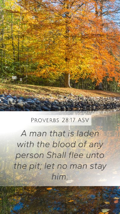 Proverbs 28:17 ASV Bible Verse Image
