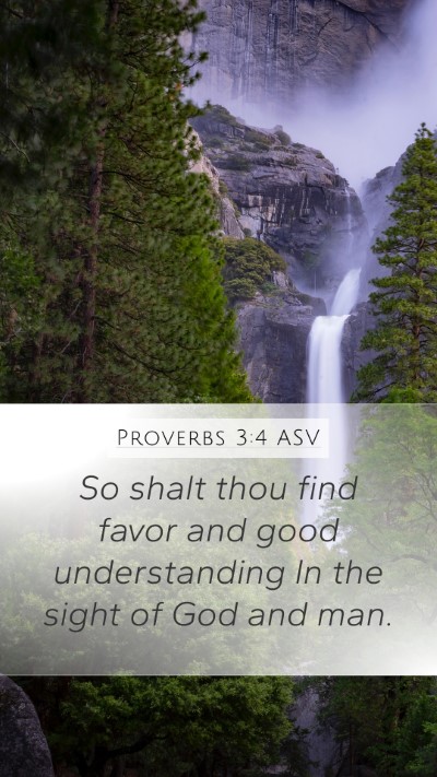 Proverbs 3:4 ASV Bible Verse Image