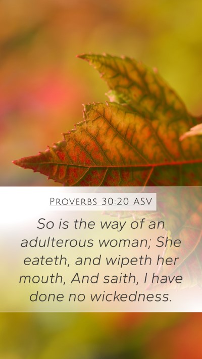 Proverbs 30:20 ASV Bible Verse Image