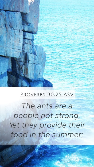 Proverbs 30:25 ASV Bible Verse Image