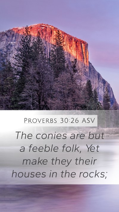 Proverbs 30:26 ASV Mobile Phone Wallpaper - The conies are but a feeble folk, Yet make they - Mobile Bible Verse Wallpaper
