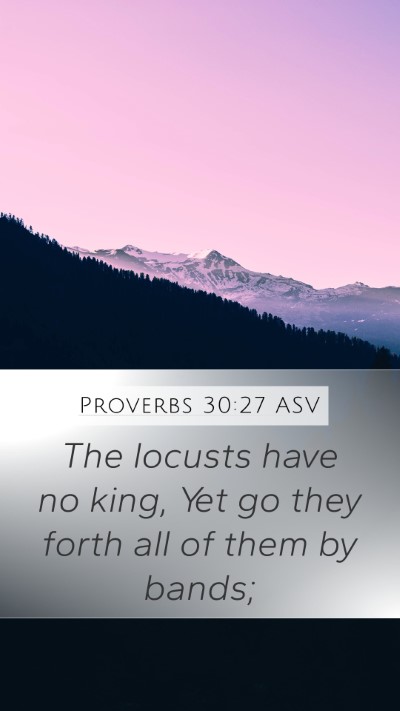 Proverbs 30:27 ASV Bible Verse Image