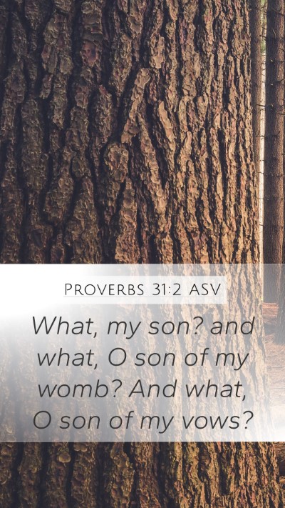 Proverbs 31:2 ASV Mobile Phone Wallpaper - What, my son? and what, O son of my womb? And - Mobile Bible Verse Wallpaper