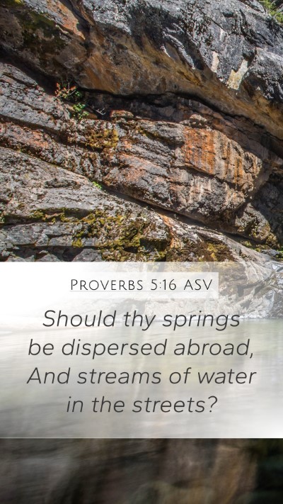 Proverbs 5:16 ASV Bible Verse Image