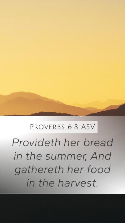 Proverbs 6:8 ASV Bible Verse Image