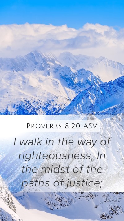 Proverbs 8:20 ASV Bible Verse Image