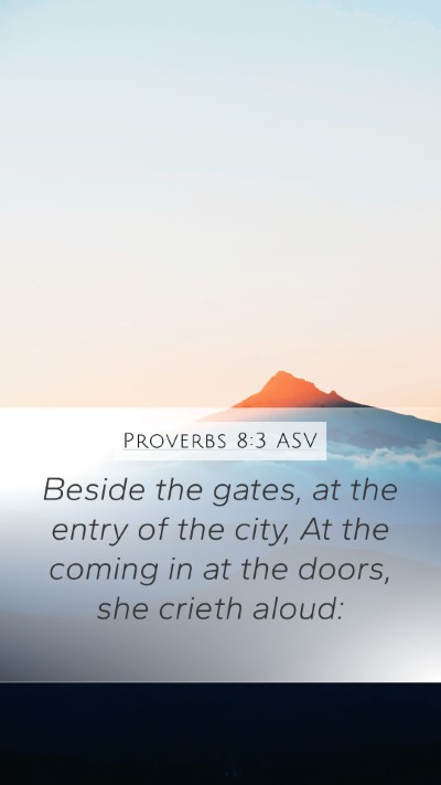Proverbs 8:3 ASV Mobile Phone Wallpaper - Beside the gates, at the entry of the city, At - Mobile Bible Verse Wallpaper