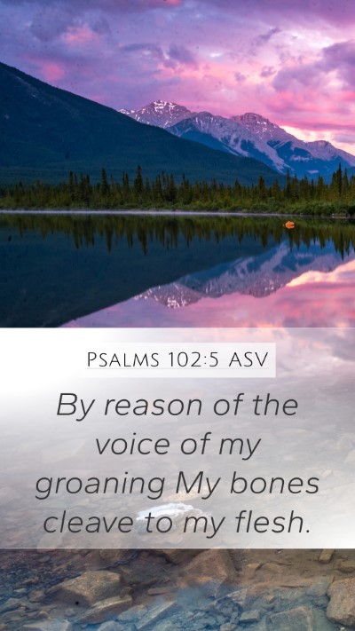 Psalms 102:5 ASV Mobile Phone Wallpaper - By reason of the voice of my groaning My bones - Mobile Bible Verse Wallpaper
