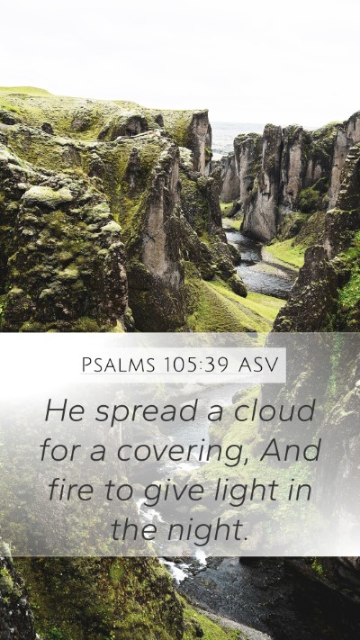 Psalms 105:39 ASV Bible Verse Image