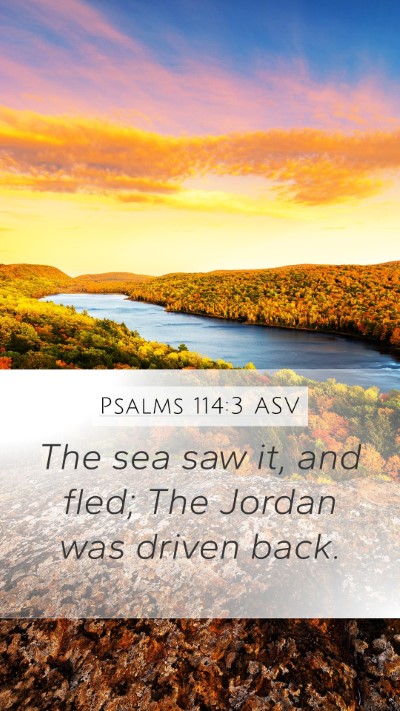 Psalms 114:3 ASV Bible Verse Image