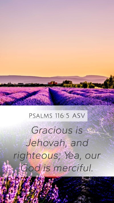 Psalms 116:5 ASV Bible Verse Image