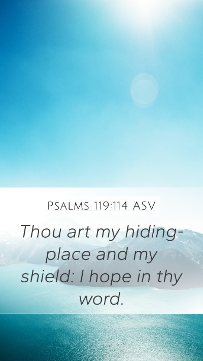 Psalms 119:114 ASV Bible Verse Image