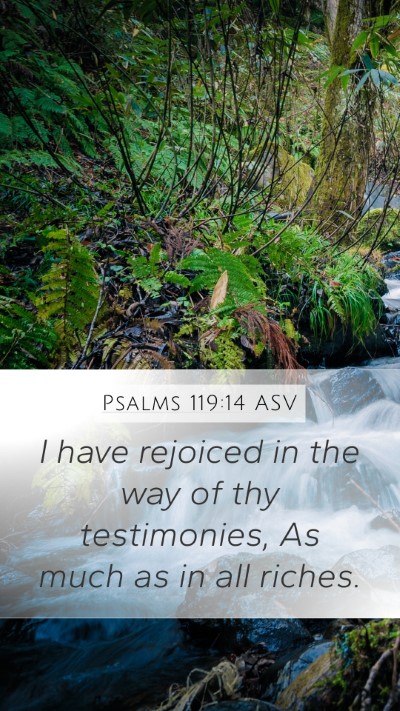 Psalms 119:14 ASV Mobile Phone Wallpaper - I have rejoiced in the way of thy testimonies, As - Mobile Bible Verse Wallpaper