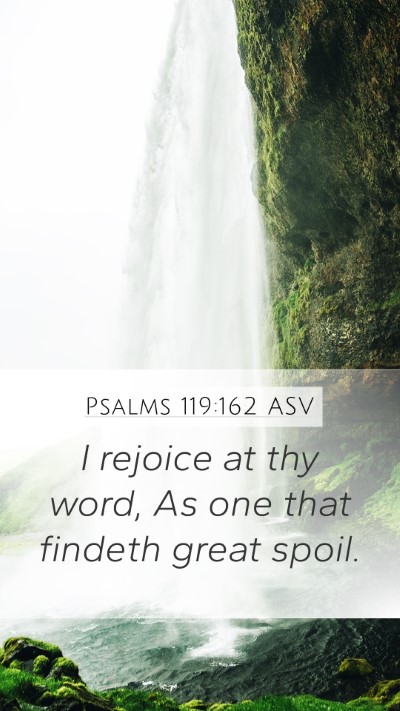 Psalms 119:162 ASV Bible Verse Image