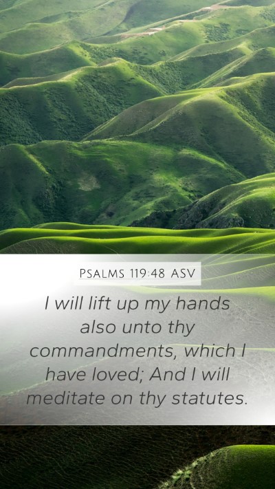 Psalms 119:48 ASV Bible Verse Image