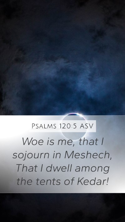 Psalms 120:5 ASV Mobile Phone Wallpaper - Woe is me, that I sojourn in Meshech, That I - Mobile Bible Verse Wallpaper