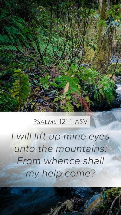 Psalms 121:1 ASV Bible Verse Image