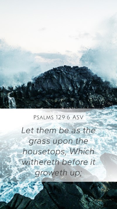 Psalms 129:6 ASV Bible Verse Image