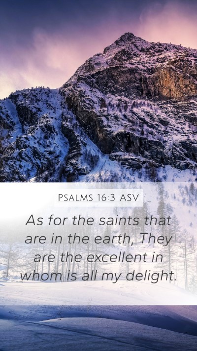 Psalms 16:3 ASV Bible Verse Image