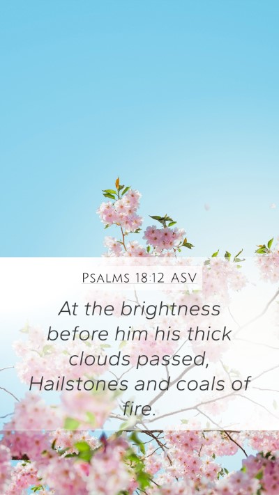 Psalms 18:12 ASV Bible Verse Image