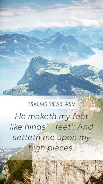 Psalms 18:33 ASV Bible Verse Image