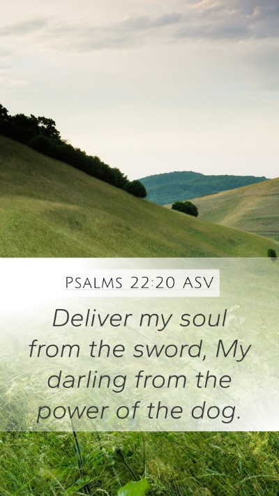 Psalms 22:20 ASV Bible Verse Image