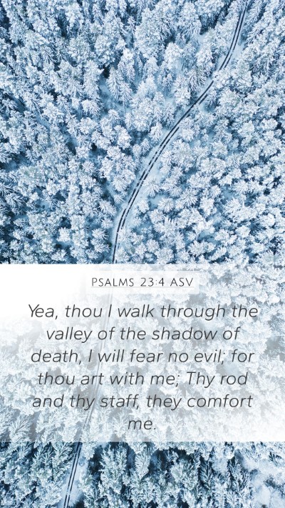 Psalms 23:4 ASV Bible Verse Image