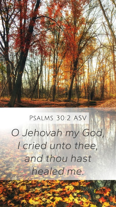 Psalms 30:2 ASV Bible Verse Image