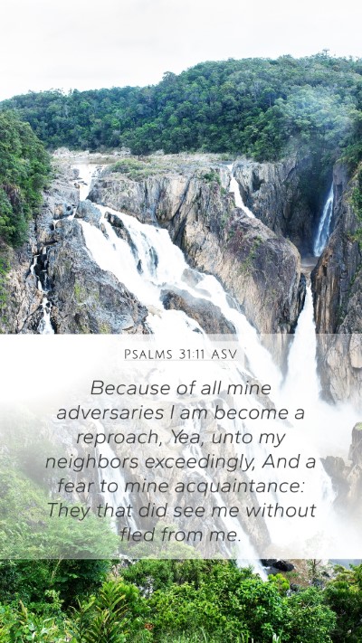 Psalms 31:11 ASV Bible Verse Image