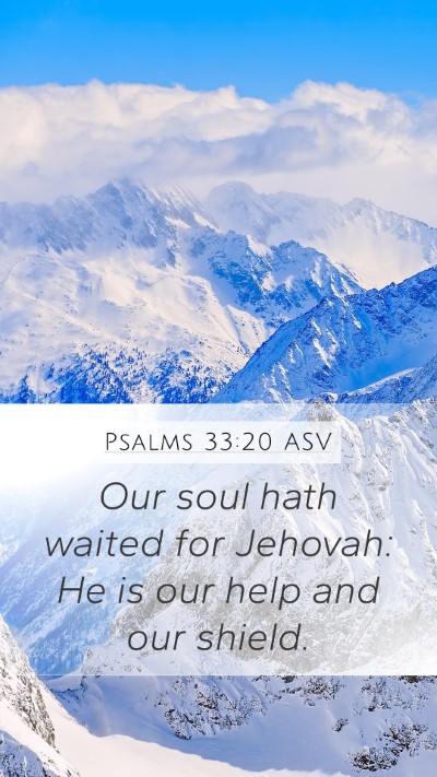 Psalms 33:20 ASV Bible Verse Image