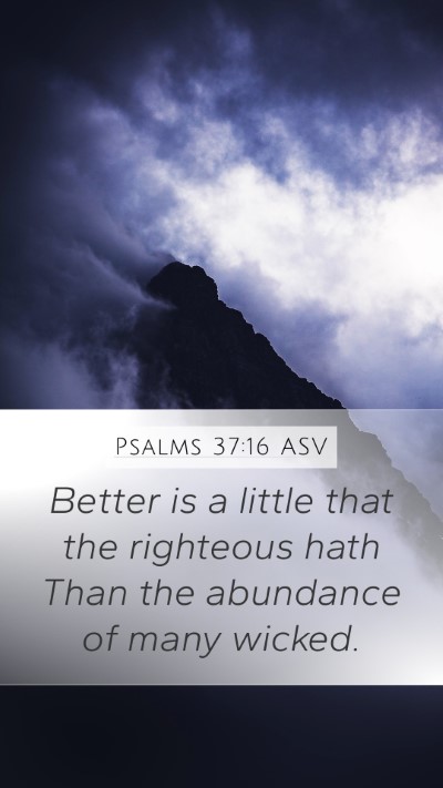 Psalms 37:16 ASV Bible Verse Image