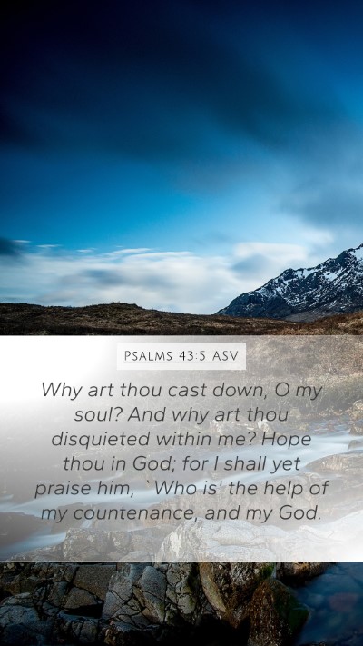 Psalms 43:5 ASV Bible Verse Image