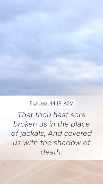 Psalms 44:19 ASV Bible Verse Image