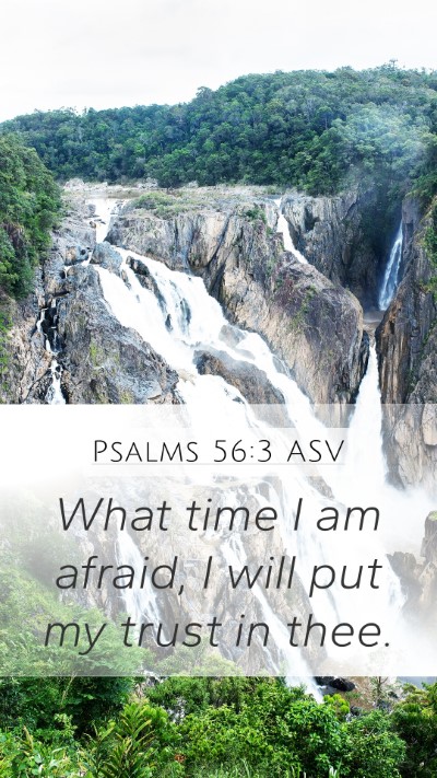 Psalms 56:3 ASV Bible Verse Image